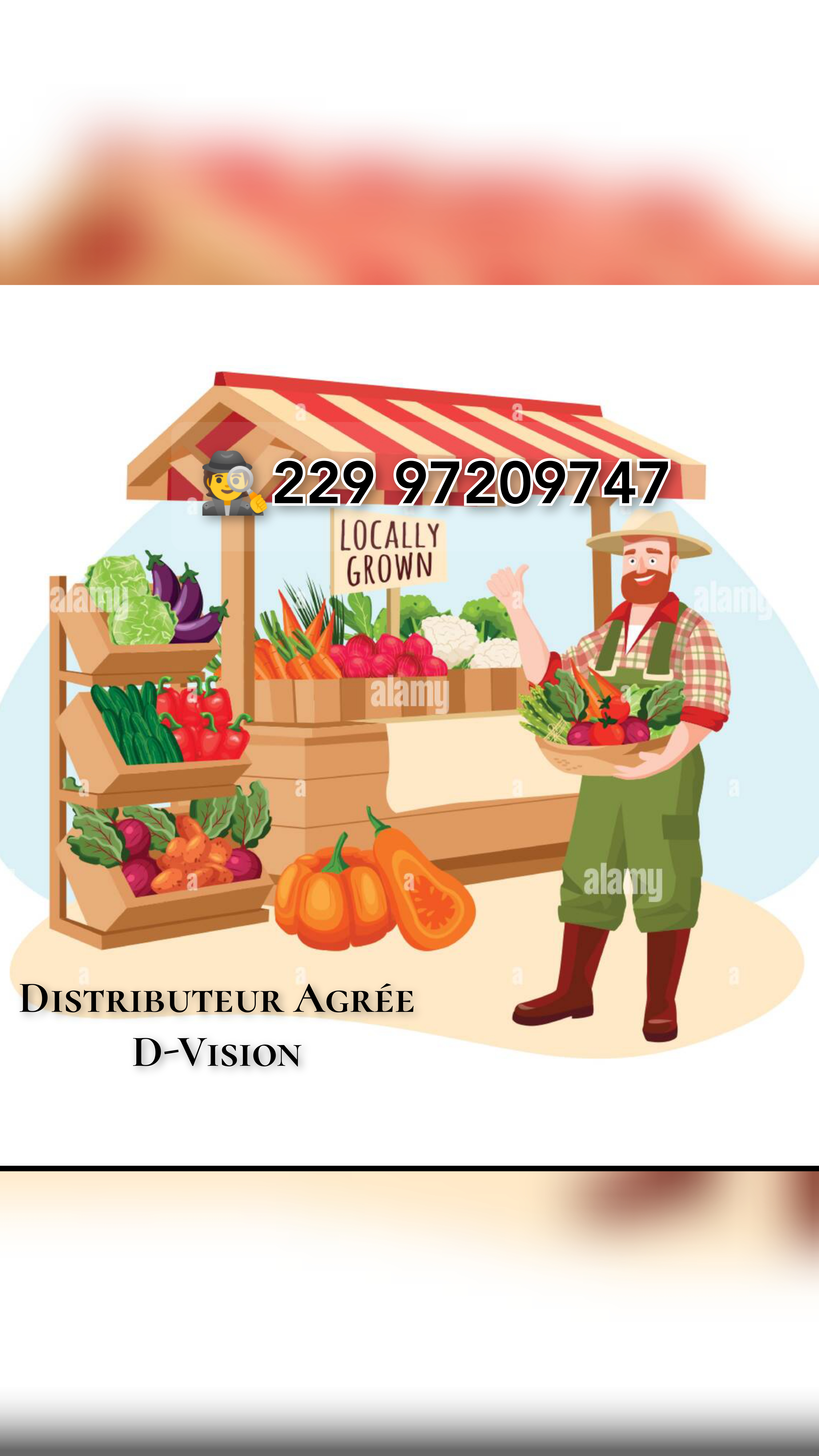 Distributeur Agrée D-Vision