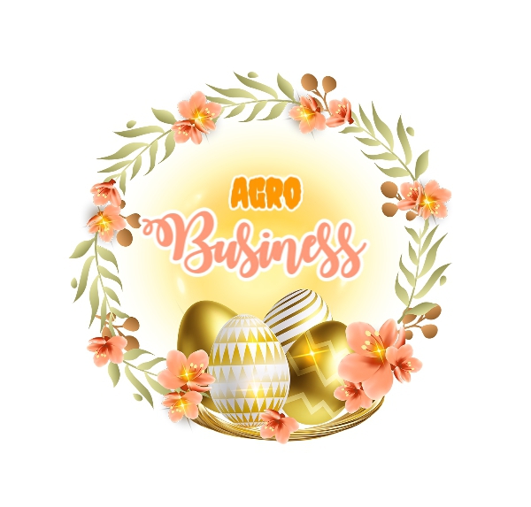 Ets SONANGNON BUSINESS